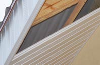rated Baliasta soffit repair companies